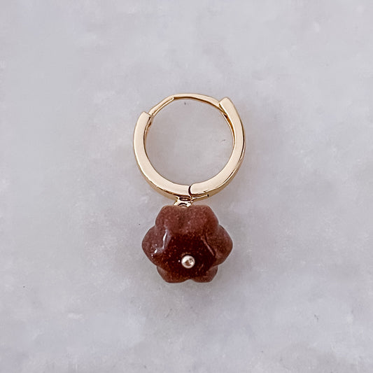 Brauner Kürbisreifen