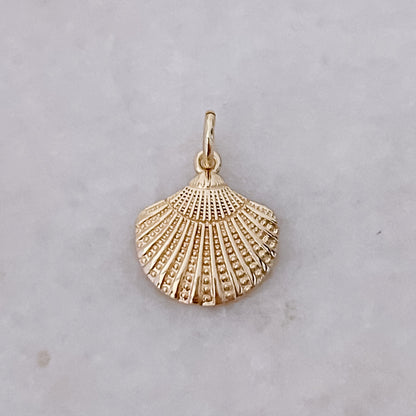Scallop Shell - Charm