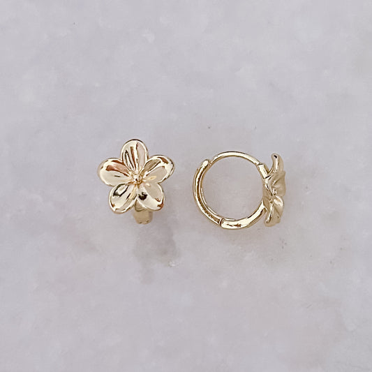 Goldene Blumenohrringe
