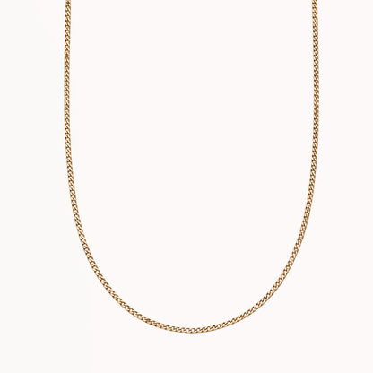 Delicate Curb Necklace