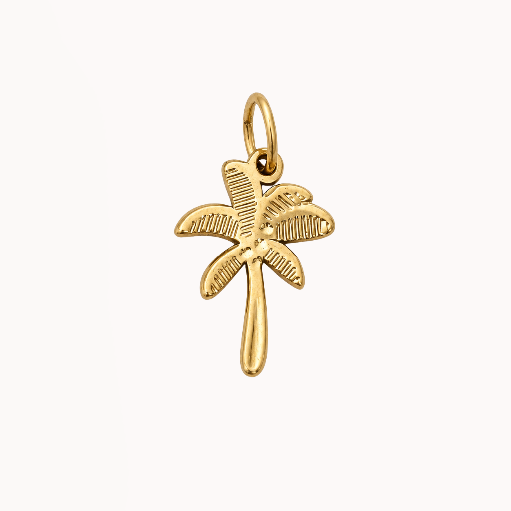 Palmtree - Charm