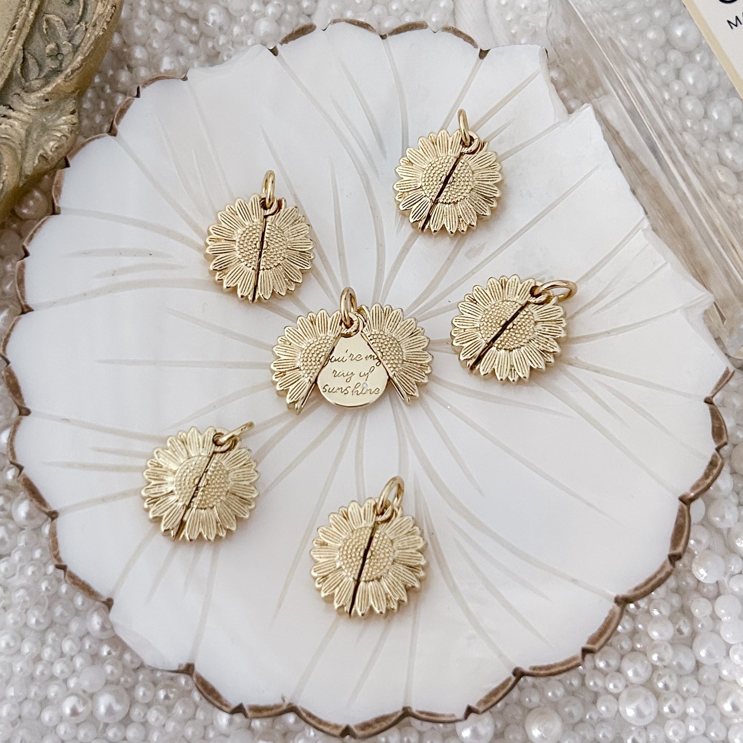 Sonnenblume mit versteckter Botschaft – Charm